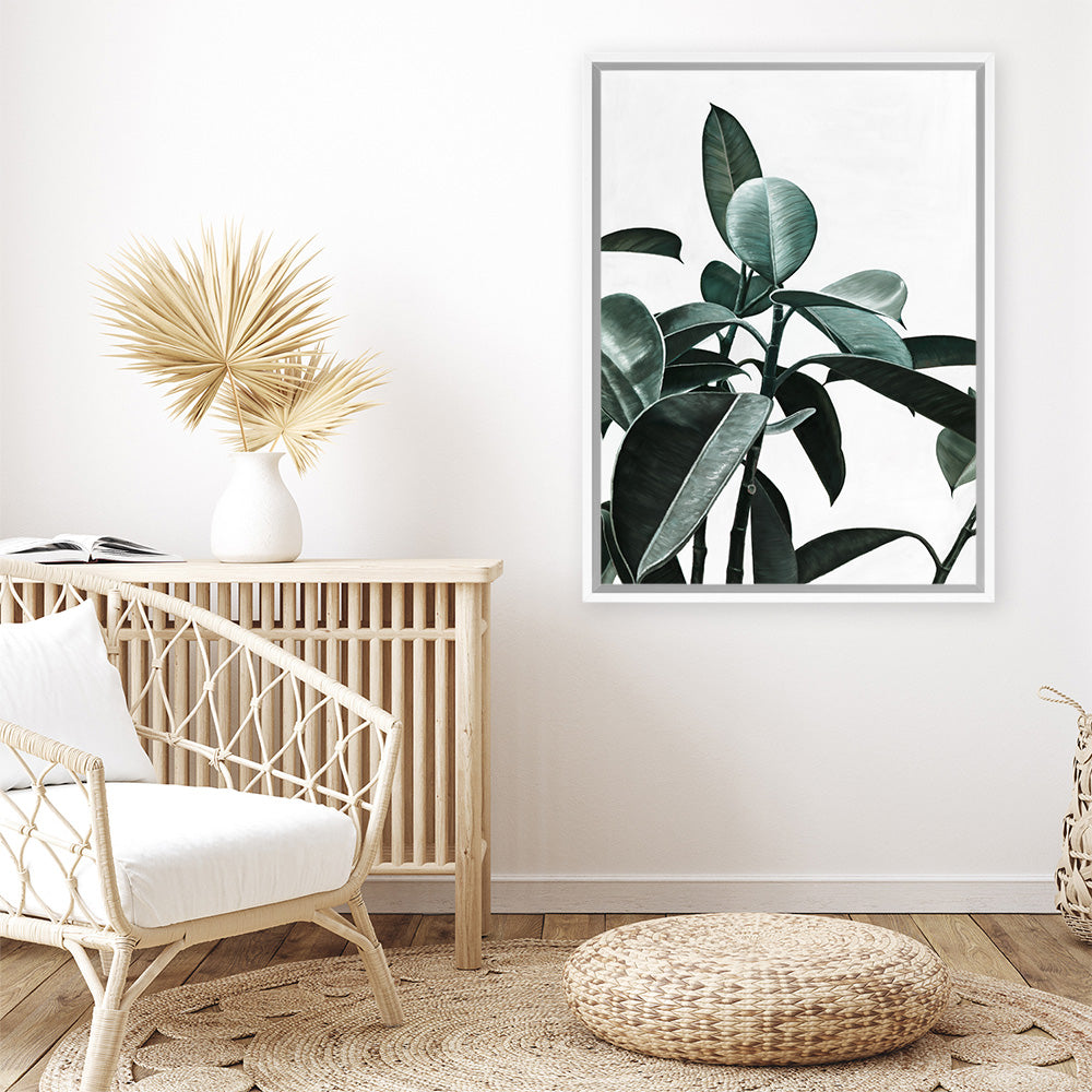 shop-online-and-get-your-favourite-rubber-plant-ii-canvas-art-print-online_1.jpg