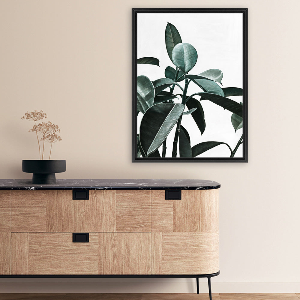 shop-online-and-get-your-favourite-rubber-plant-ii-canvas-art-print-online_2.jpg