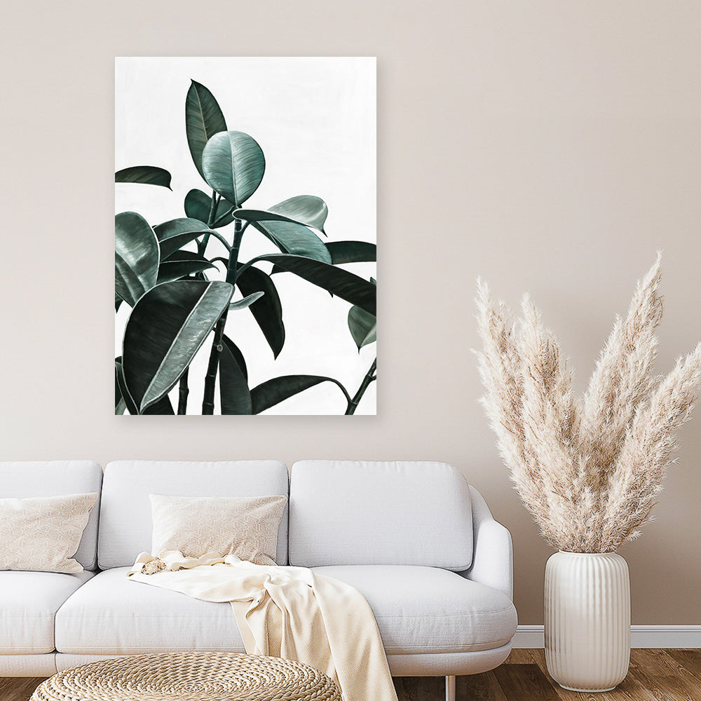 shop-online-and-get-your-favourite-rubber-plant-ii-canvas-art-print-online_3.jpg