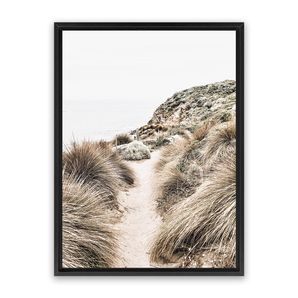 shop-for-pro-coastal-path-ii-photo-canvas-art-print-online_4.jpg