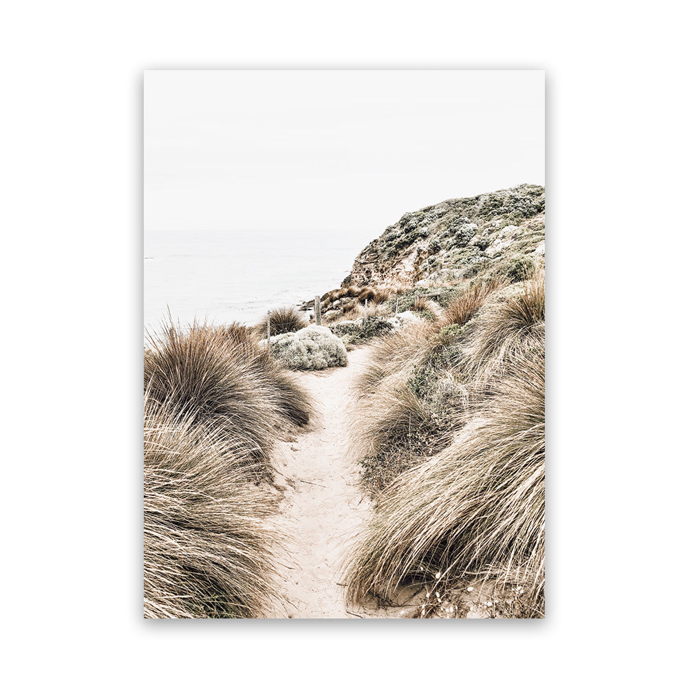 shop-for-pro-coastal-path-ii-photo-canvas-art-print-online_5.jpg