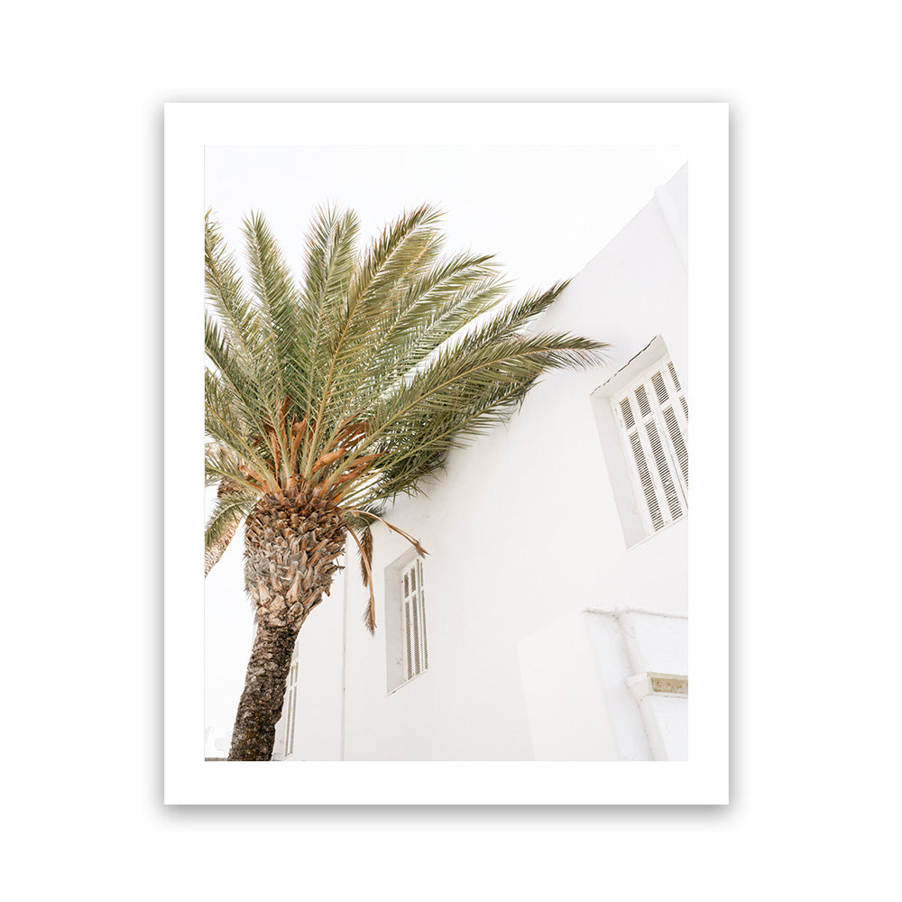 leaking-out-of-your-mykonos-palm-villa-ii-photo-art-print-online-sale_12.jpg