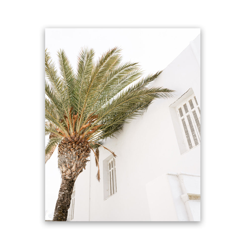 leaking-out-of-your-mykonos-palm-villa-ii-photo-art-print-online-sale_13.jpg