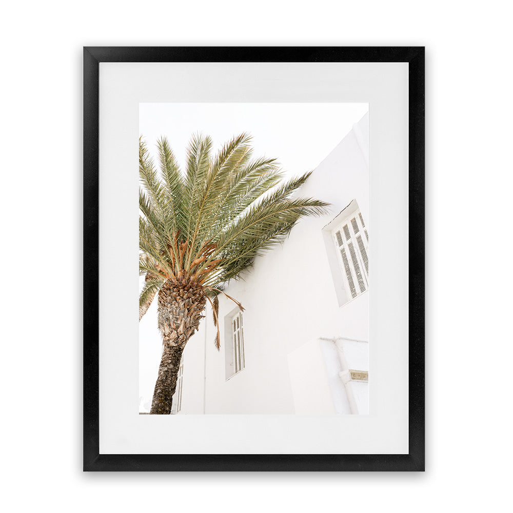 leaking-out-of-your-mykonos-palm-villa-ii-photo-art-print-online-sale_8.jpg