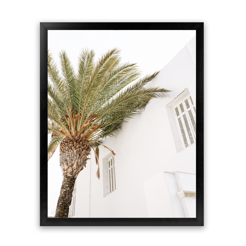 leaking-out-of-your-mykonos-palm-villa-ii-photo-art-print-online-sale_9.jpg