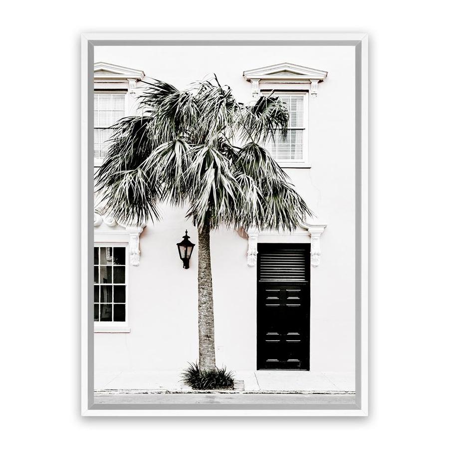 a-place-to-buy-palm-house-ii-photo-canvas-art-print-for-discount_0.jpg