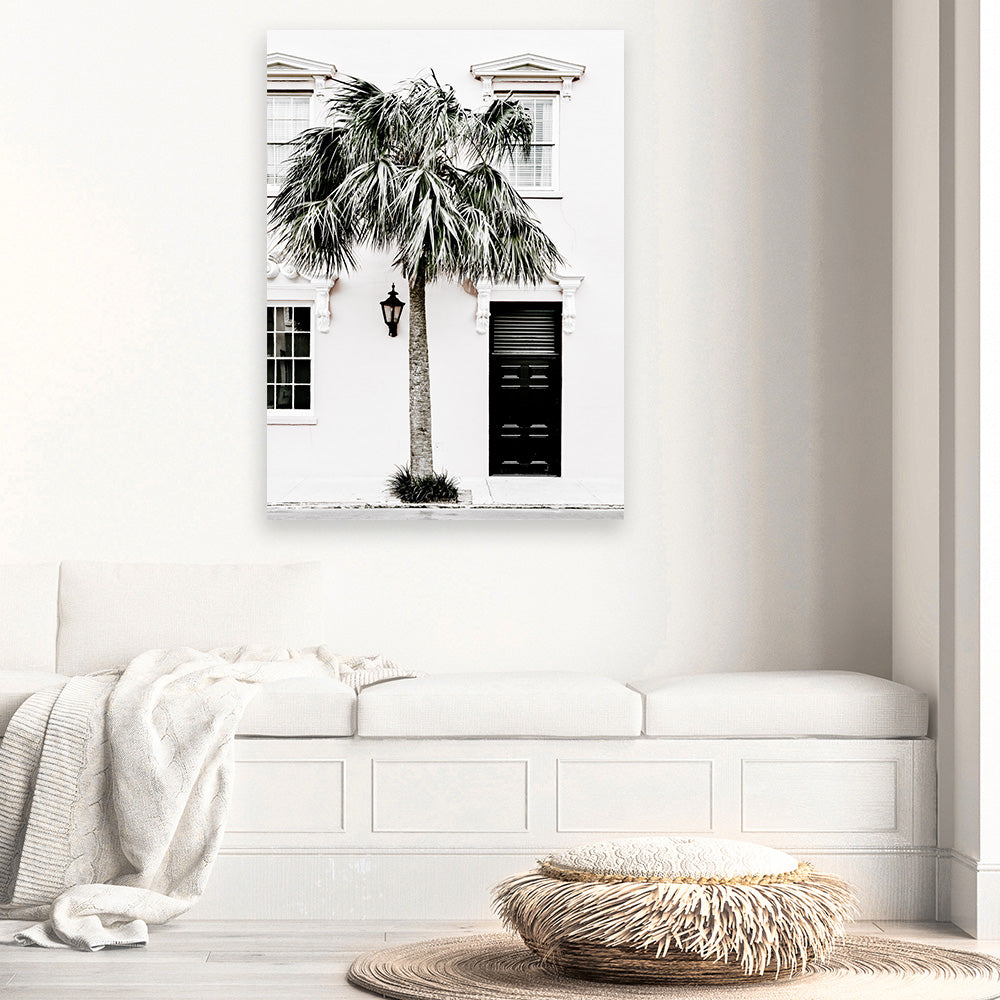 a-place-to-buy-palm-house-ii-photo-canvas-art-print-for-discount_3.jpg