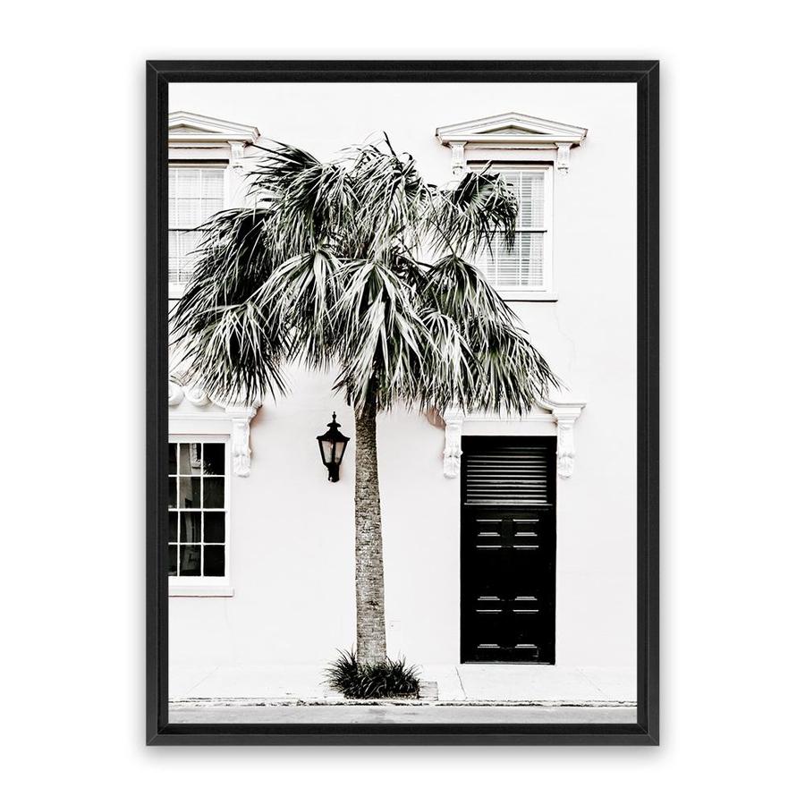 a-place-to-buy-palm-house-ii-photo-canvas-art-print-for-discount_5.jpg