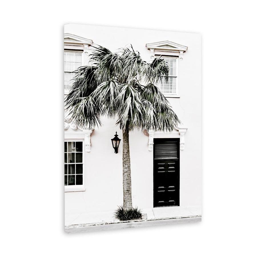 a-place-to-buy-palm-house-ii-photo-canvas-art-print-for-discount_8.jpg