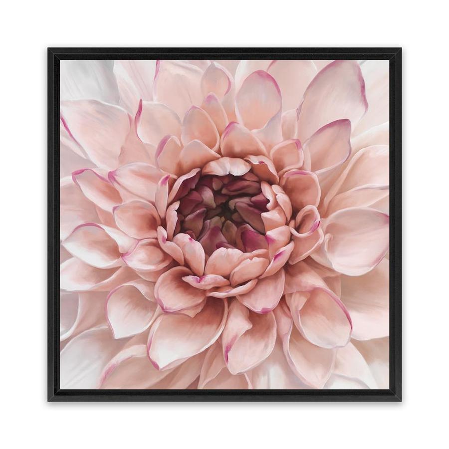 shop-divine-dahlia-square-canvas-art-print-online-hot-sale_4.jpg